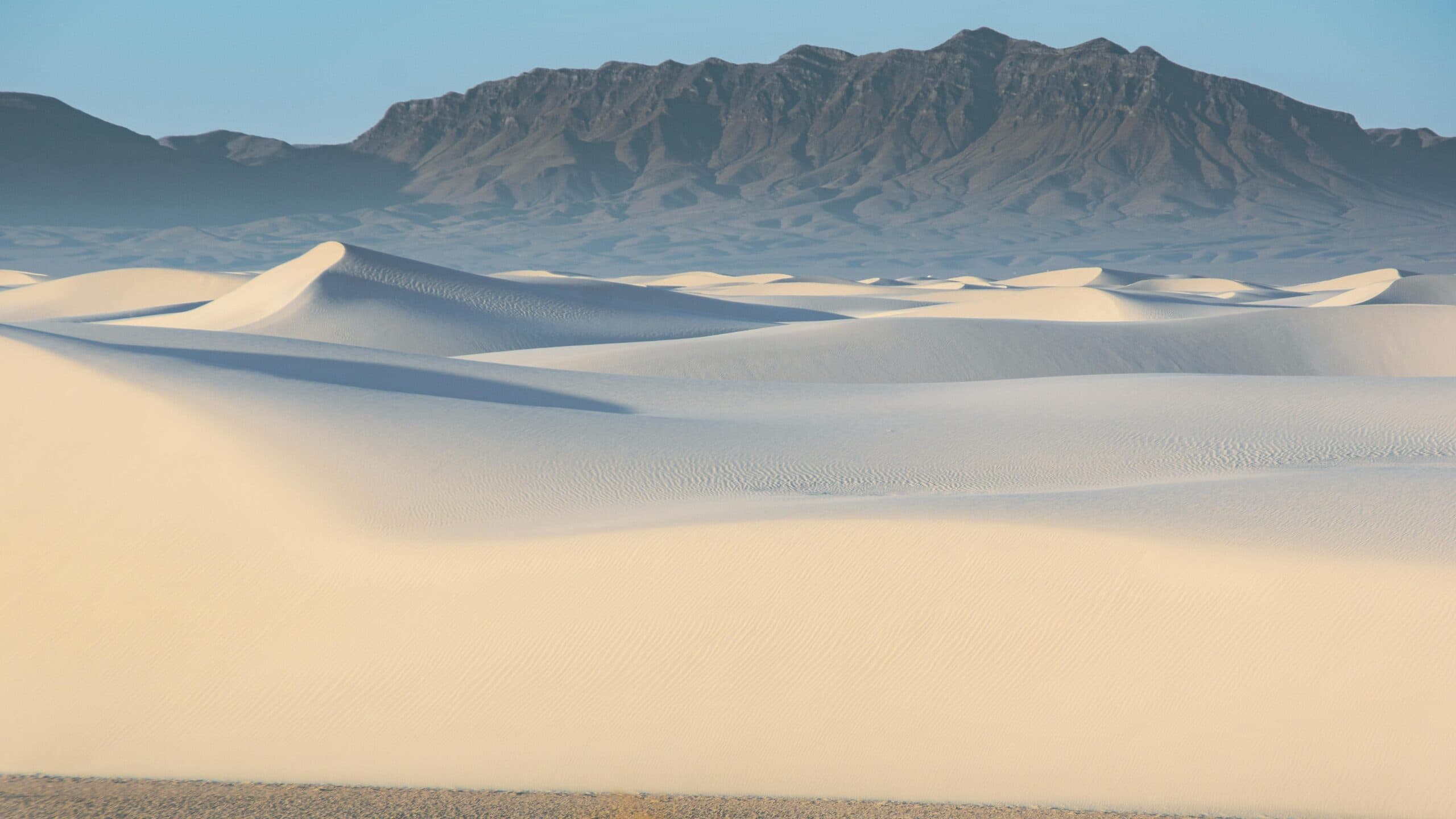 Pale sand dunes with a mountain range behind them